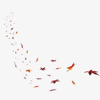 3D树叶枫叶群落免抠