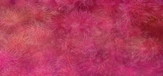 纹理花纹背景高清