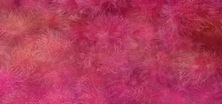 纹理花纹背景高清