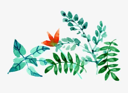 水彩树叶植物免抠