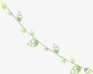 手绘绿色艺术美感树叶免抠