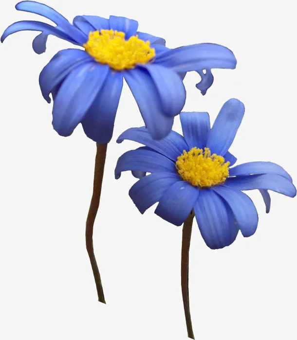 花卉免抠
