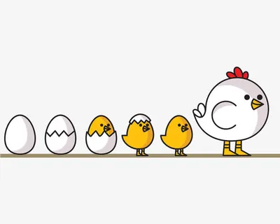 手绘小鸡的成长过程免抠