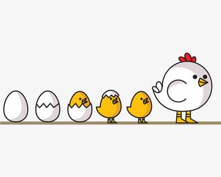 手绘小鸡的成长过程免抠