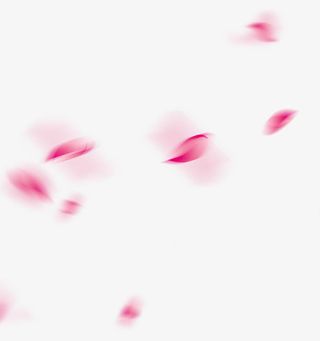 花瓣背景免抠