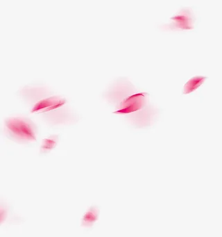 花瓣背景免抠