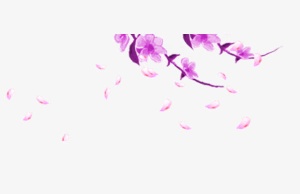 中国风紫色花瓣免抠