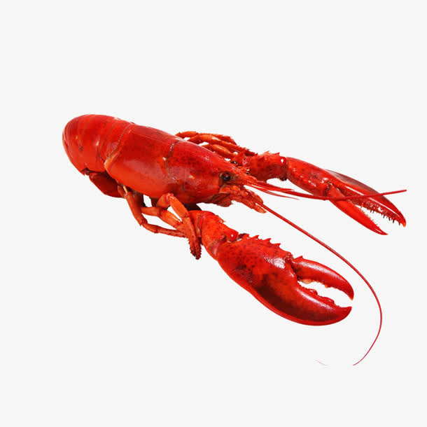 爆炒小龙虾设计素材免抠