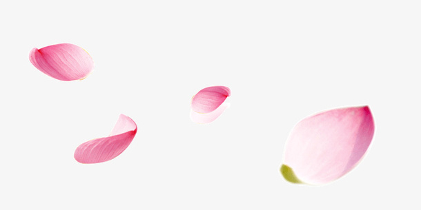 粉色花瓣漂浮免抠
