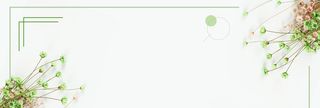简约绿色文艺清新鲜花植物淘宝banner高清