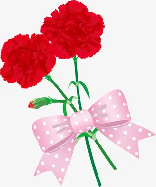 红色蝴蝶结康乃馨免抠