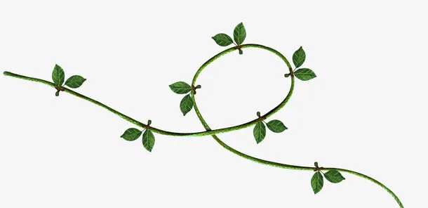 绿色创意枝叶免抠