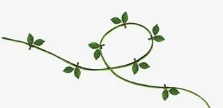 绿色创意枝叶免抠