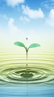 创意的水珠引起的水纹高清