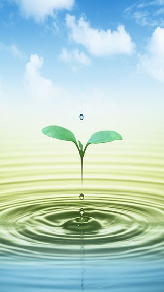 创意的水珠引起的水纹高清