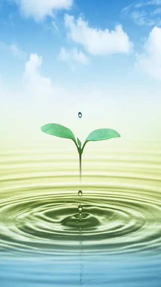 创意的水珠引起的水纹高清