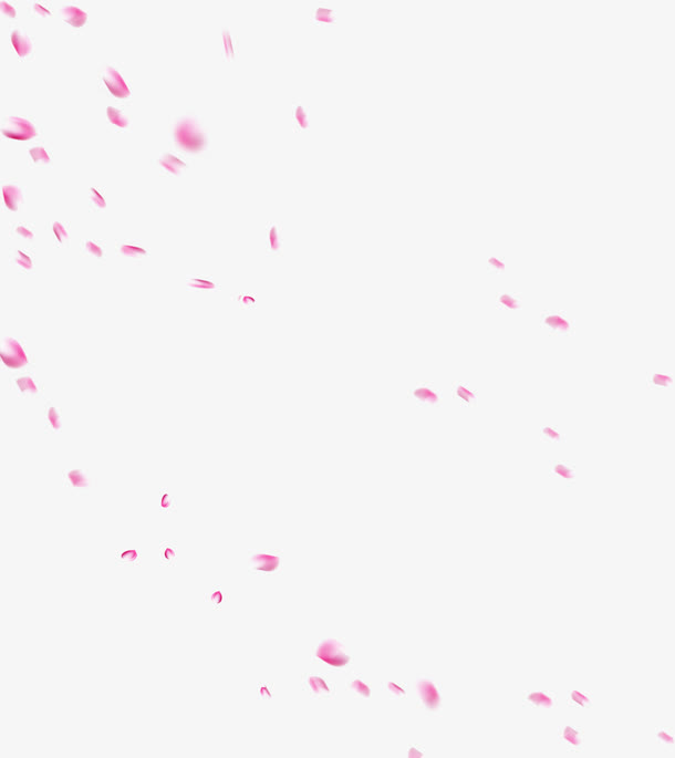 玫粉玫瑰花瓣飘舞免抠