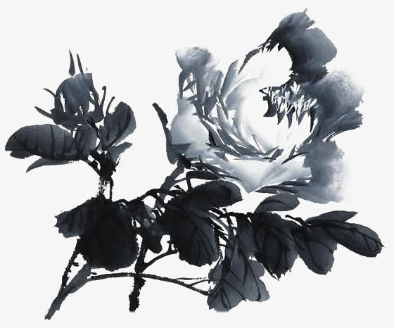 牡丹花开免抠