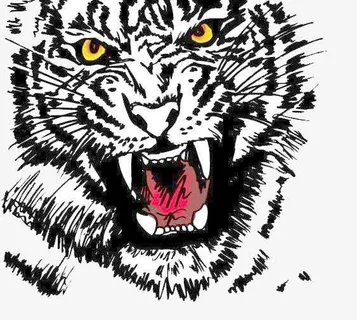 凶猛的白虎免抠