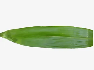 粽子的粽叶免抠