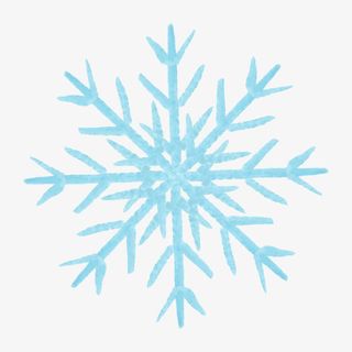 唯美花卉图片花卉画免抠