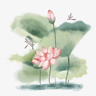 中国风水墨水彩古风素雅夏至古典荷花莲花免抠装饰植物元素