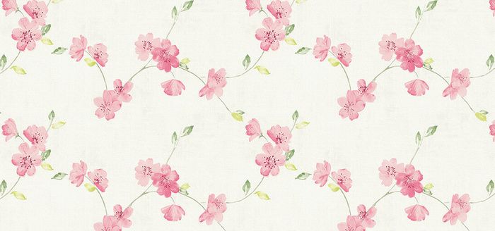 粉色花背景高清
