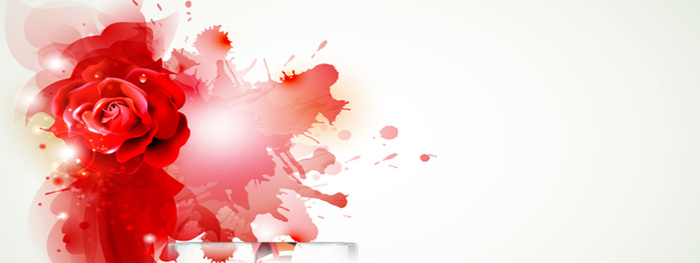 艳丽花朵背景高清