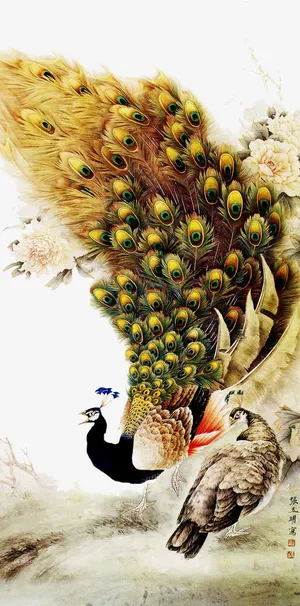 孔雀免抠 孔雀免抠