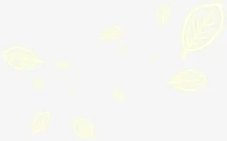 白色树叶花纹企业招聘免抠