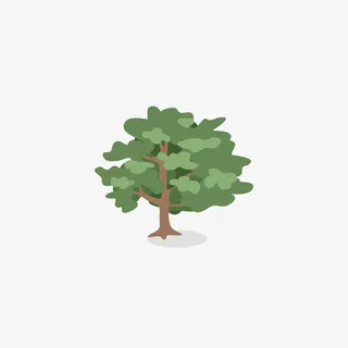 轮廓图俯视树木免抠