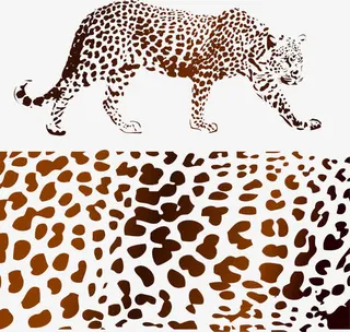 炫酷豹纹豹子免抠