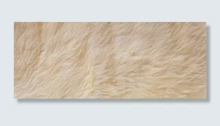 白色渐变毛发背景高清