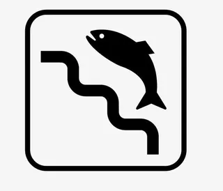 游出水面的鱼儿免抠