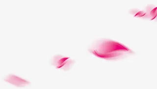 红色花瓣花朵漂浮免抠