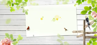 春天热带植物背景图海报高清