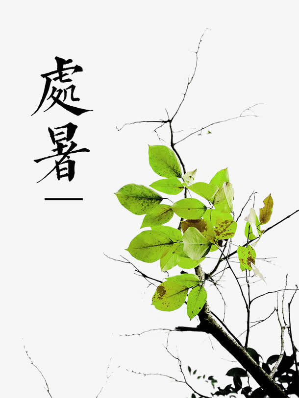 清新处暑节气海报免抠