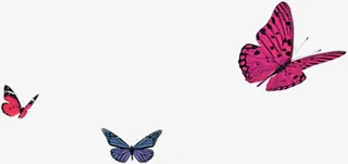 蝴蝶春季风景素材免抠