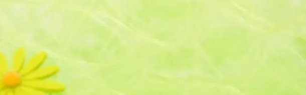 黄绿色背景banner