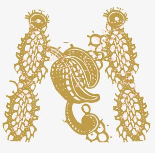 刺绣花纹矢量图免抠