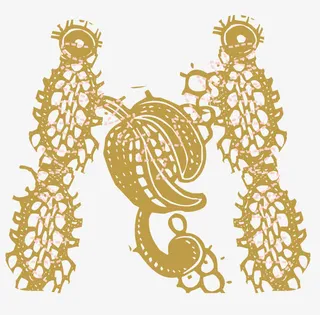 刺绣花纹矢量图免抠