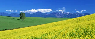 淘宝海报背景高清