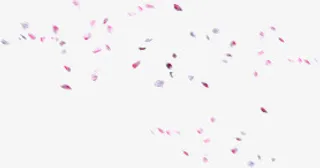 七夕情人节飘落的花瓣免抠