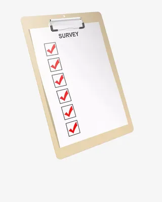 画板户外调查问卷免抠