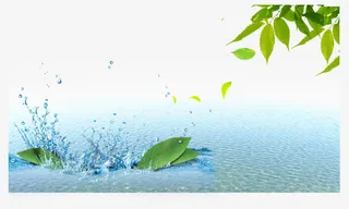 水花水纹图片免抠