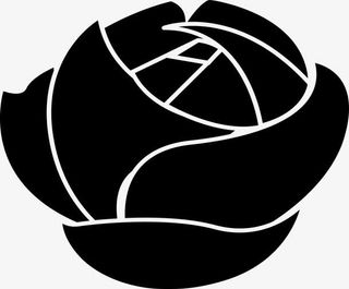 待盛放的玫瑰花朵免抠