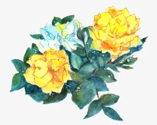 手绘栀子花免抠