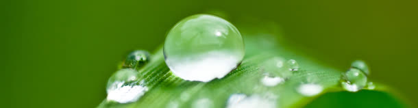 清新水珠背景
