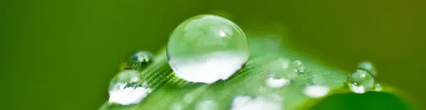 清新水珠背景