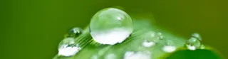 清新水珠背景